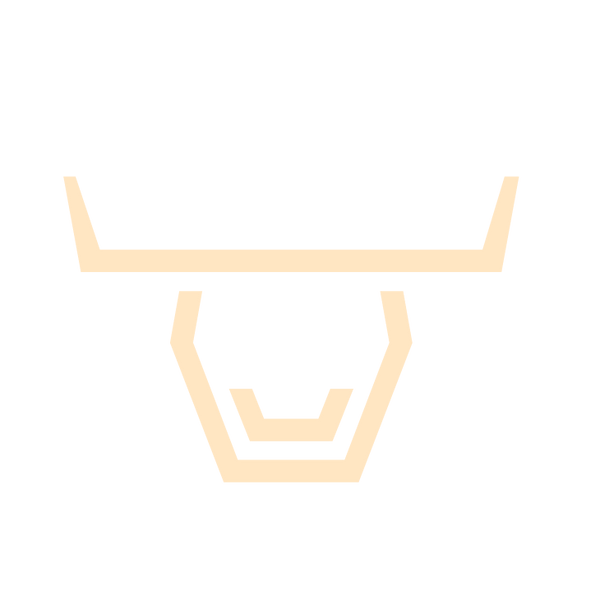 Corrida Cattle Co